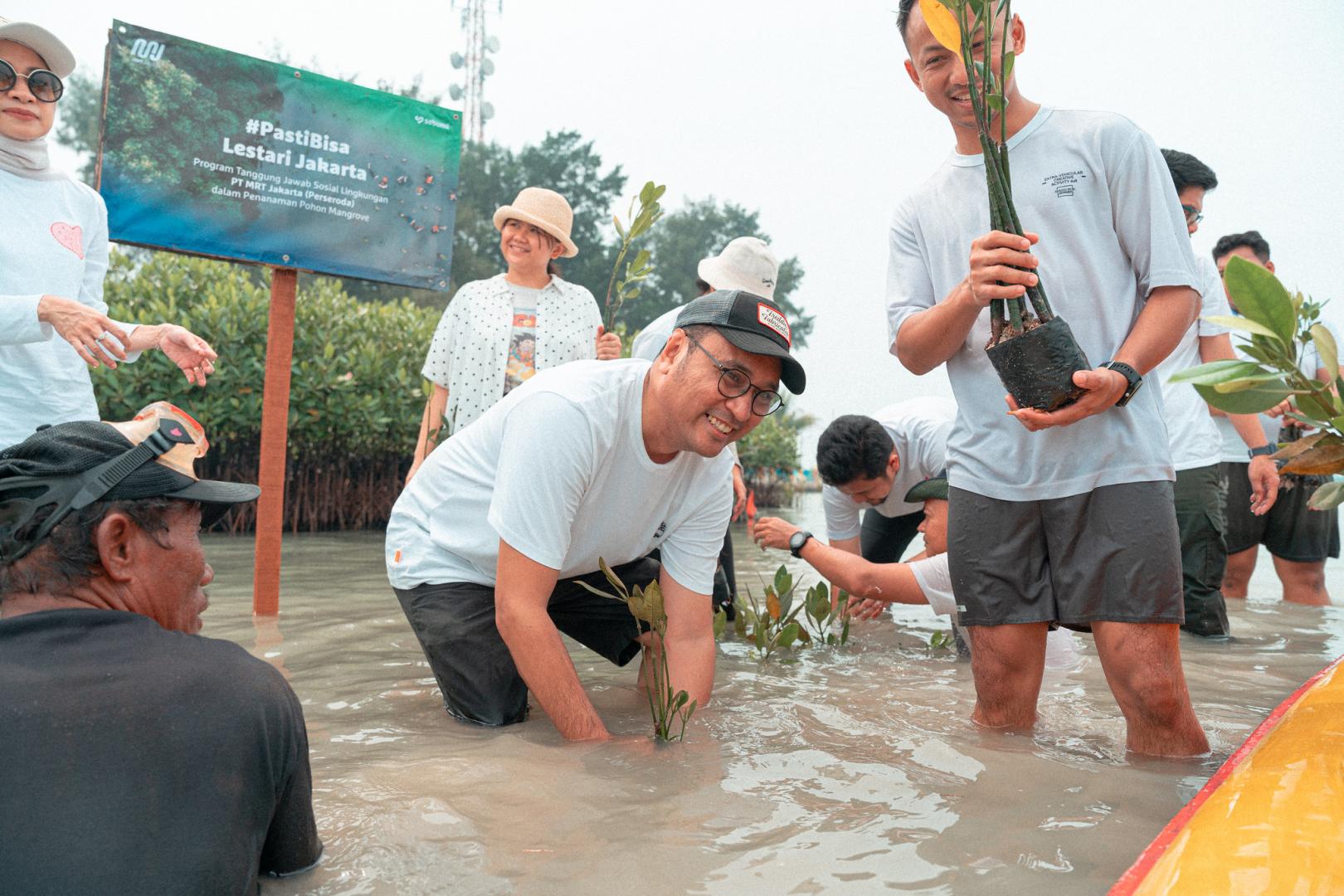 mangrove